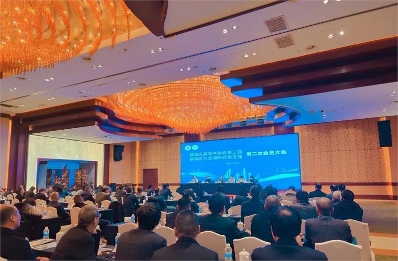 紧固件,宁波市,制造业,紧固件之都,会员大会,九龙湖