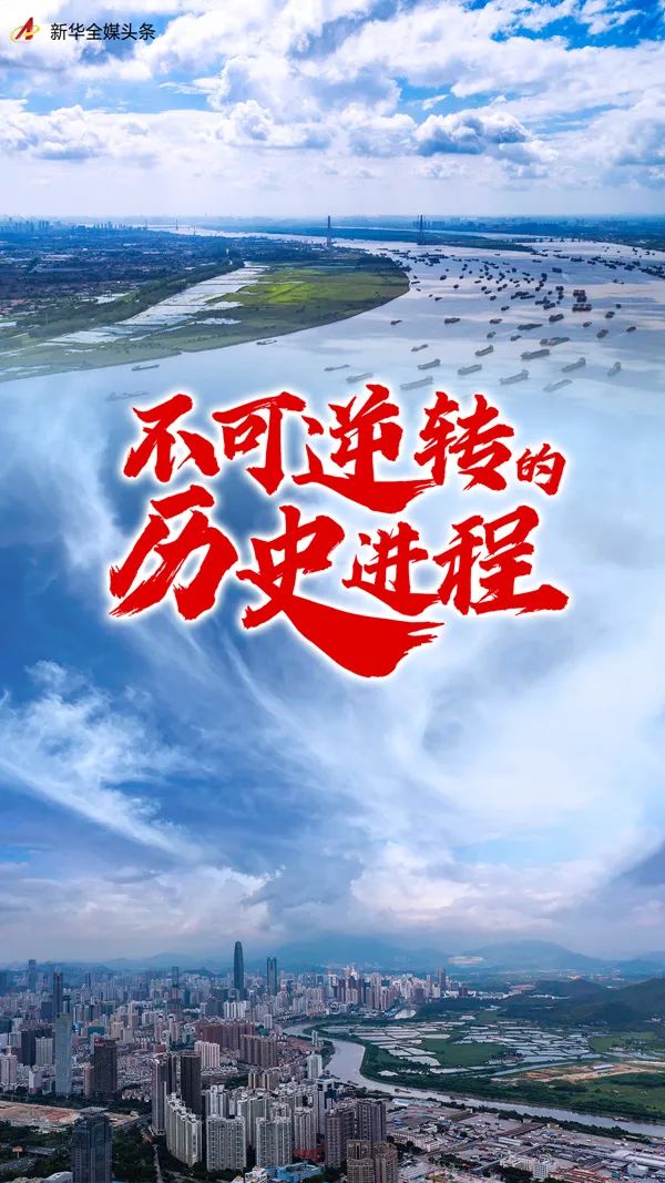新华社重磅文章：不可逆转的历史进程！