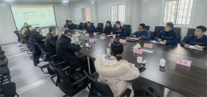 邢钢，纯氢冶金技术，中国钢研科技集团有限公司