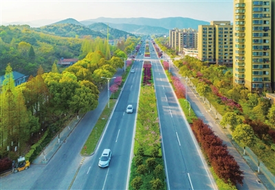 浙江宁波九龙湖镇：“三产”融合探出“幸福共富经”，推动紧固件产业提升