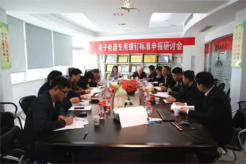 乐清市紧固件行业协会，《电子电器用复合槽螺钉及组合件》，行业标准