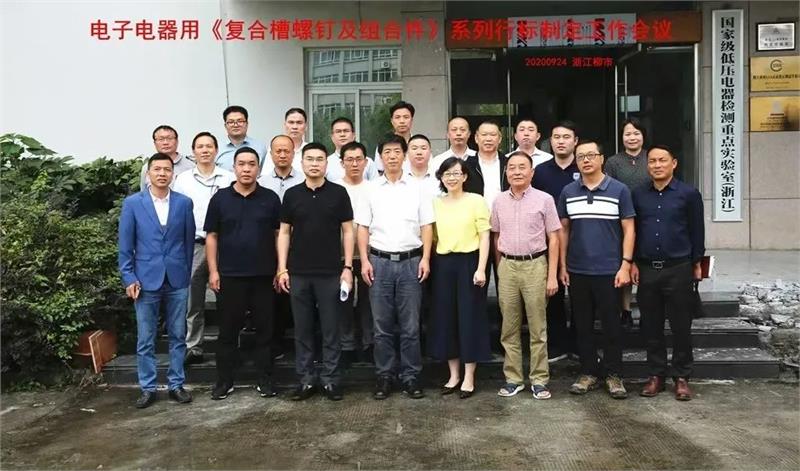乐清市紧固件行业协会，《电子电器用复合槽螺钉及组合件》，行业标准