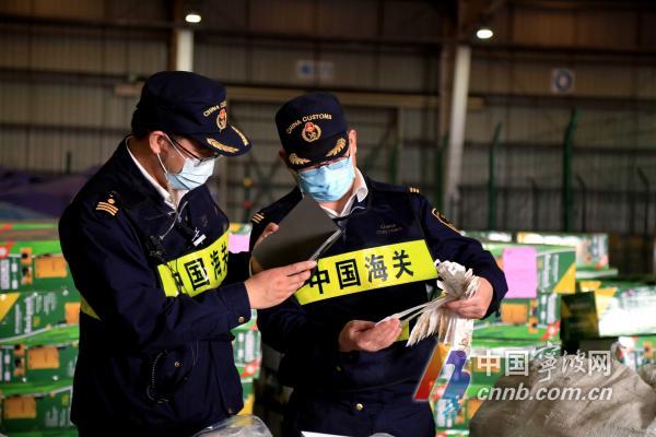 2020年宁波市外贸进出口总额近9800亿元 同比增长6.7%